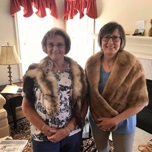 Meet your Posher, Judy